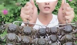 荷兰网红吃瓜事件真相视频